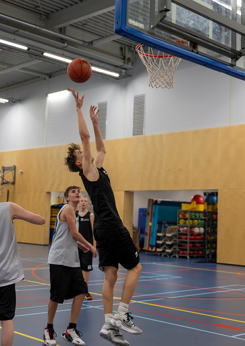 Basketbal Dedein