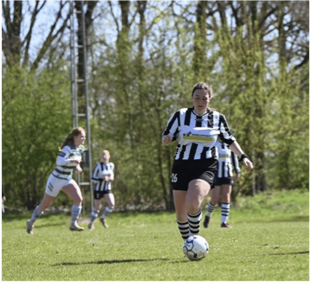 vv den dam